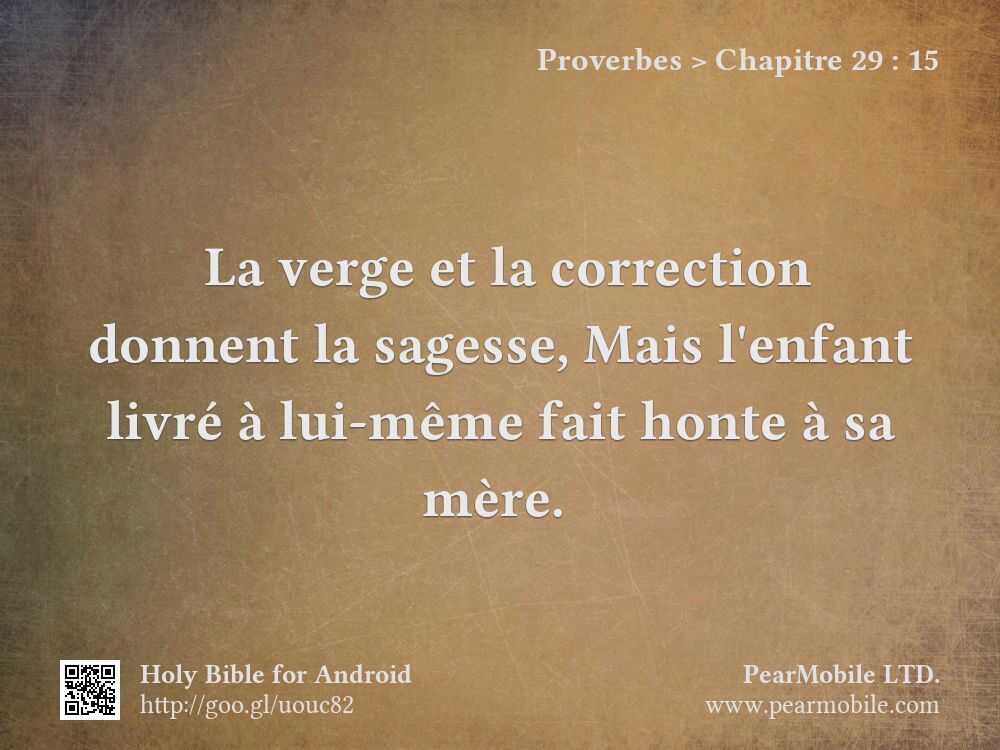 Proverbes, Chapitre 29:15
